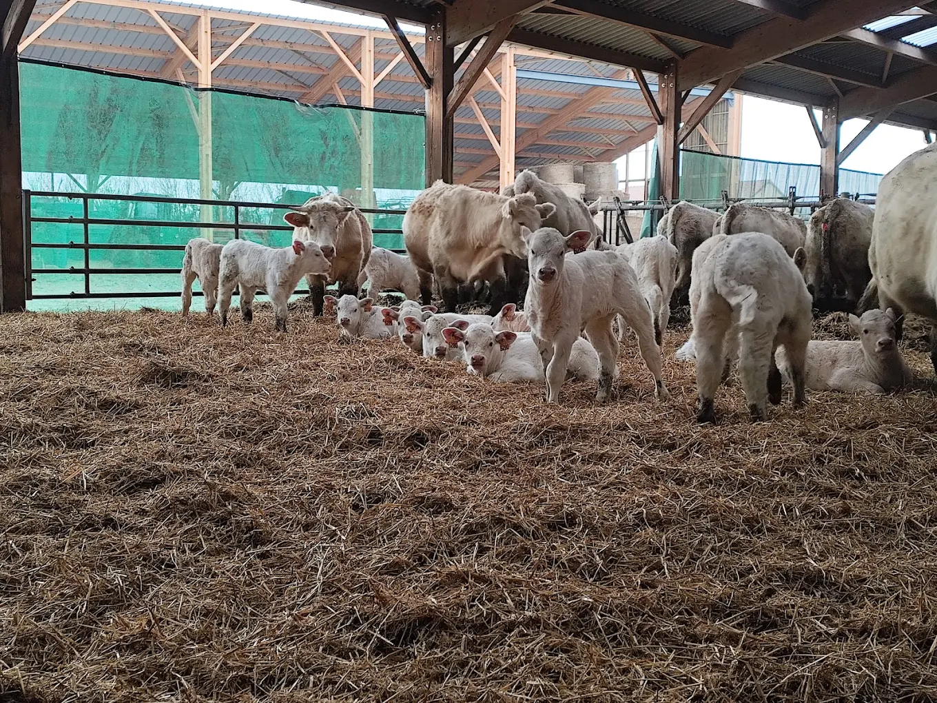 GAEC des Petits Chézeaux