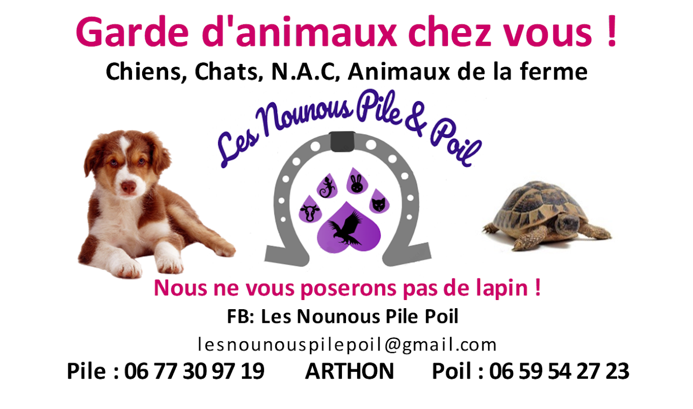 Les Nounous Pile Poil