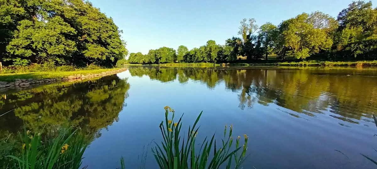 Vue de la commune d’Arthon — photographie 4