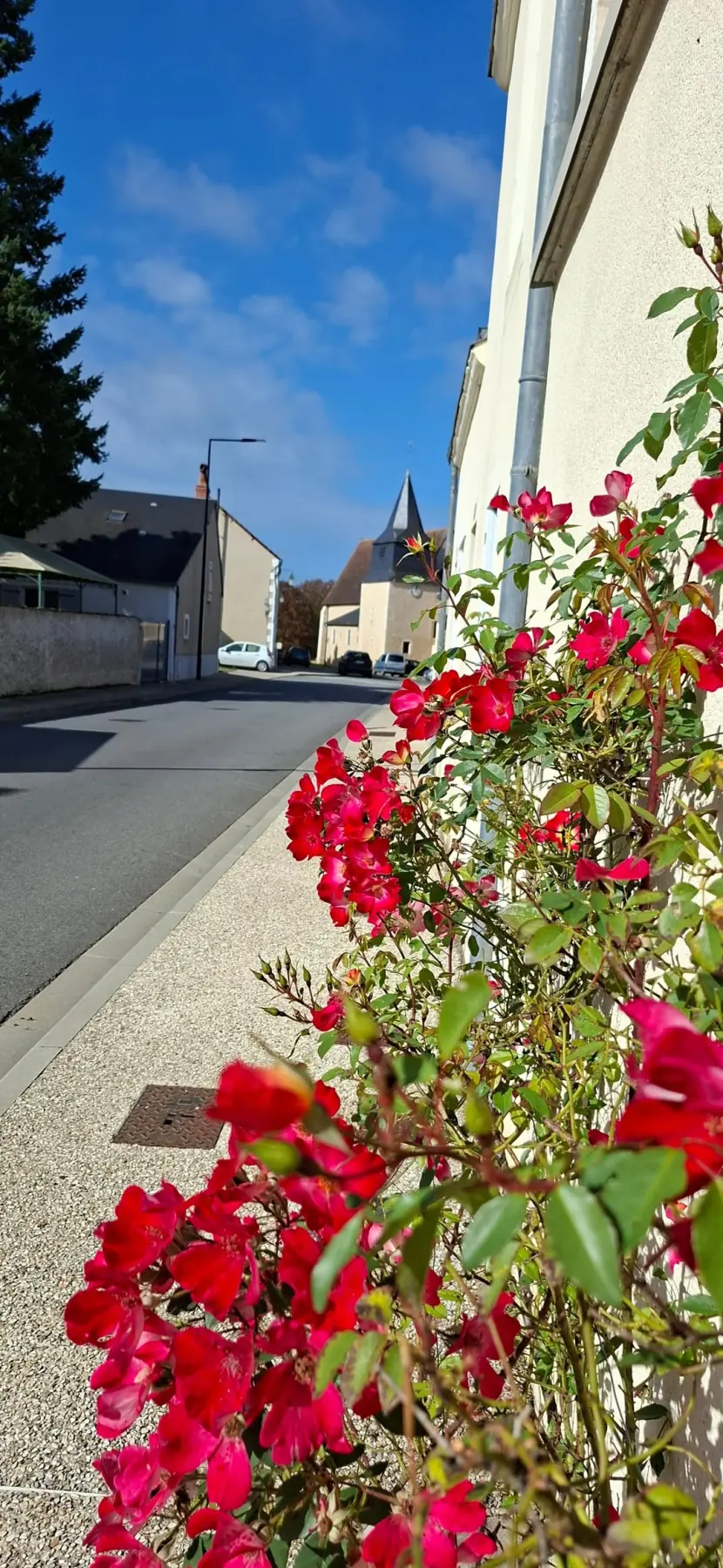 Vue de la commune d’Arthon — photographie 11