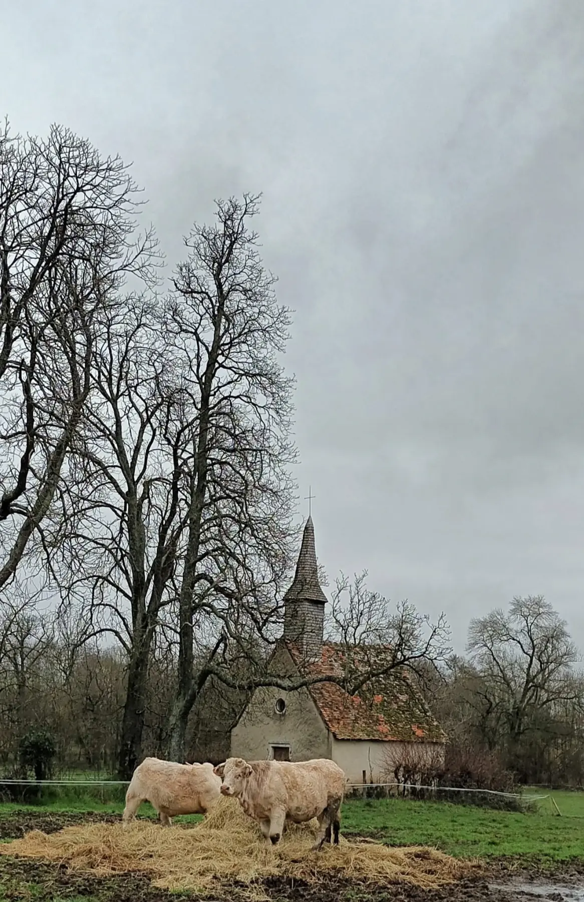 Vue de la commune d’Arthon — photographie 13