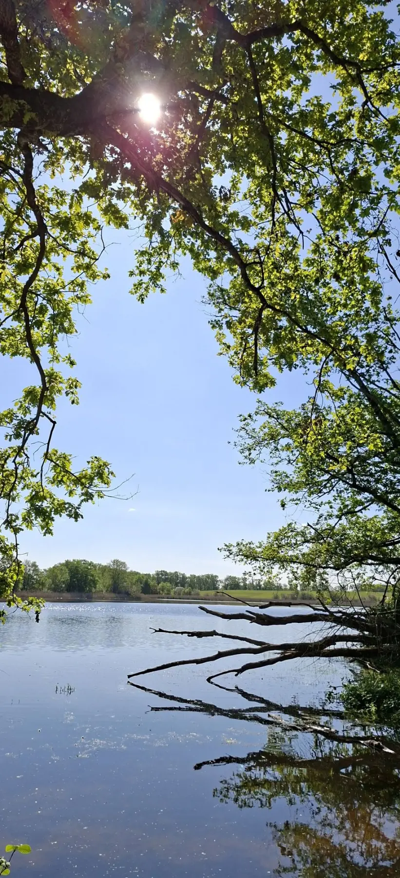 Vue de la commune d’Arthon — photographie 15